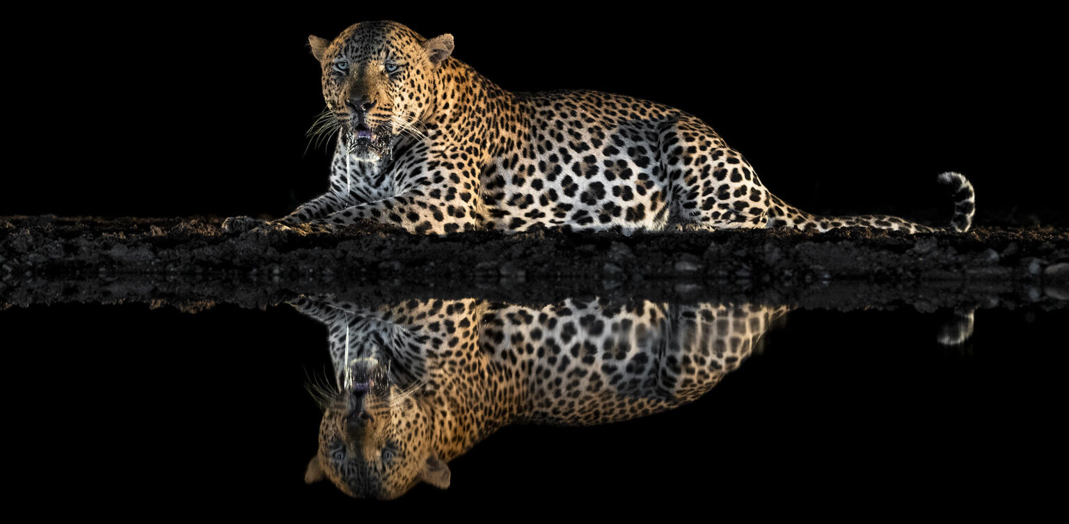 akari photo tours south africa