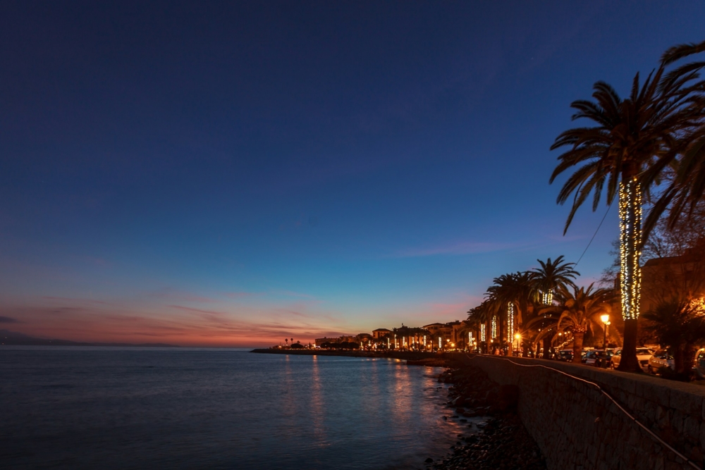 coconut palm trees beside beach at dusk