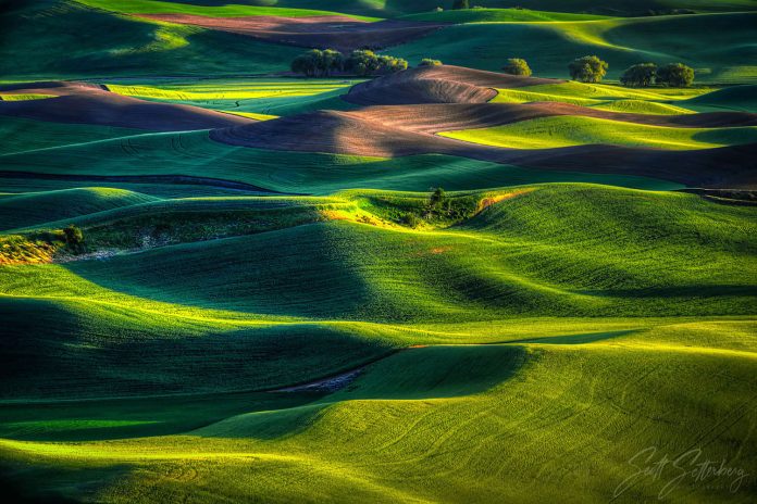 ColorTexturePhotoTours Palouse-2023-1500x1000x300