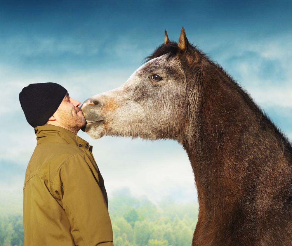 Horse kissing man in jacket and hat