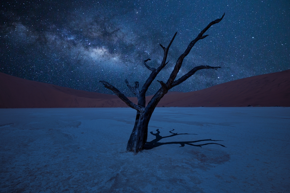 Milky way and a dead tree in Death Valley in Namibia