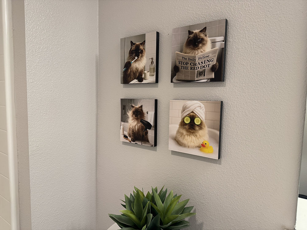 mixtiles pet potraits on wall 2