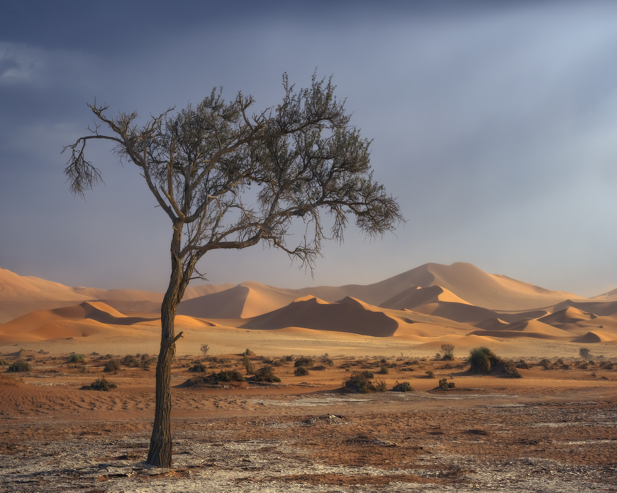 muench workshops namibian landscape