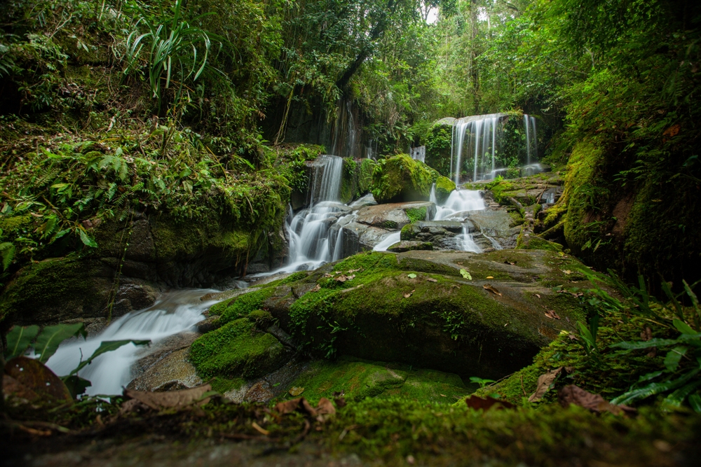 SALU DAMBU Waterfall