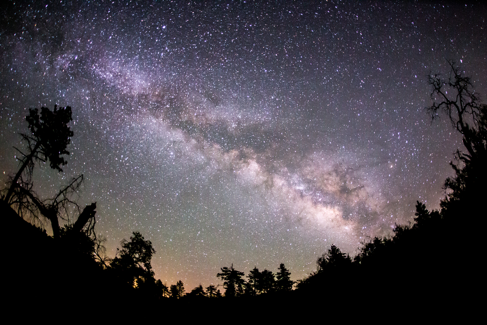 The Milky Way and some trees in the mountains 