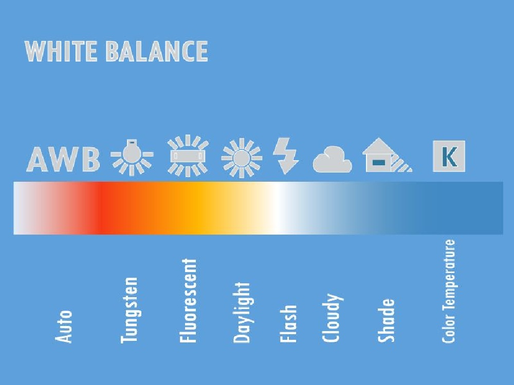 White Balance Chart